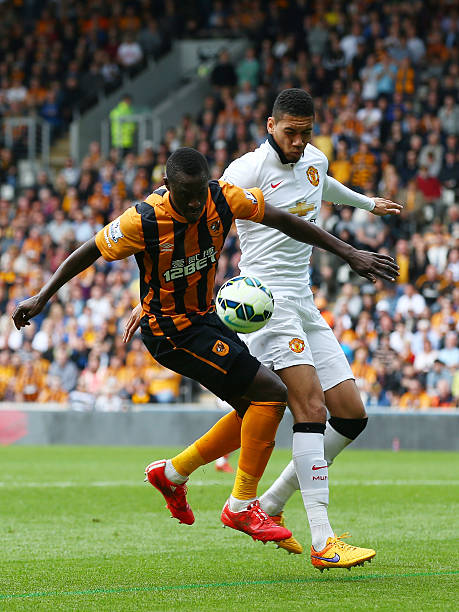 挑衅一头愤 挑衅一头愤