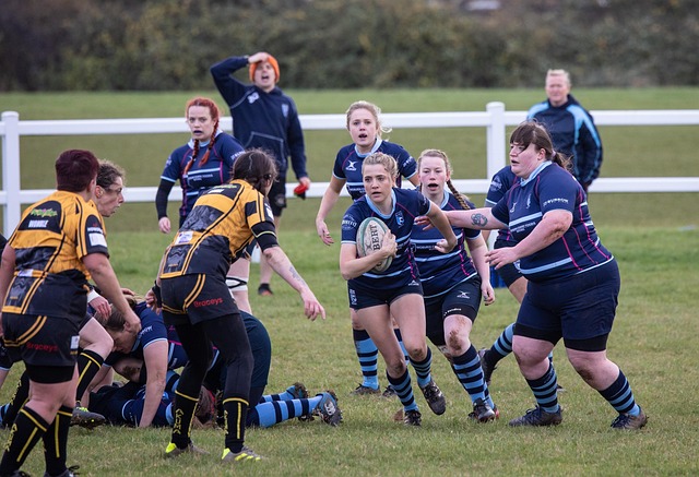 次转会在国 次转会在国