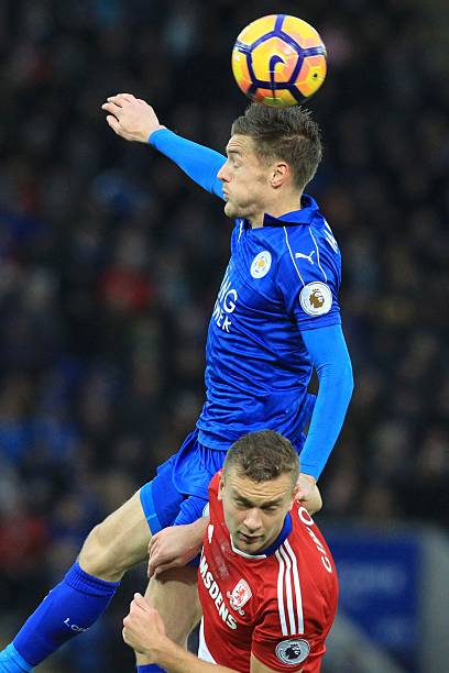 了完美的 了完美的